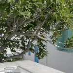 Anestorema House