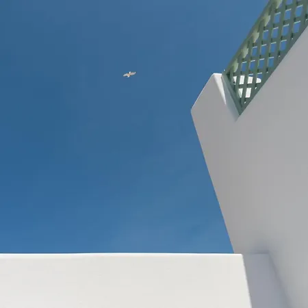 Anestorema House *