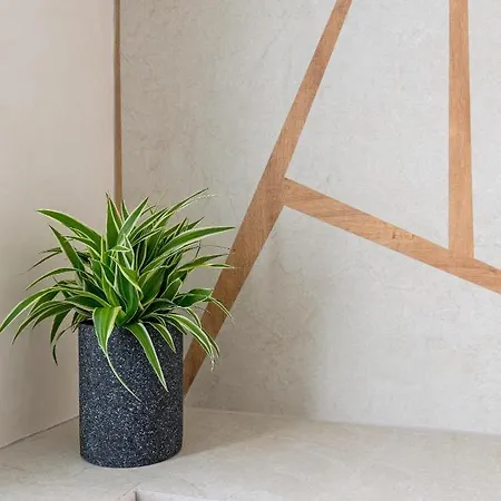 Anestorema House בית נופש