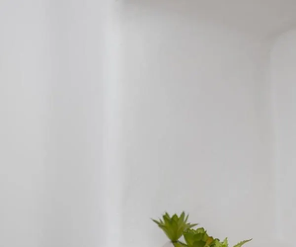 Anestorema House بيت للعطل Astypálaia