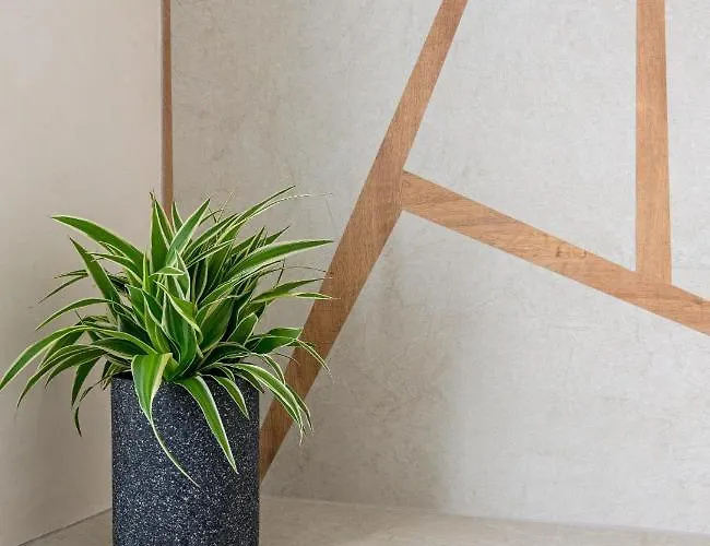 Anestorema House بيت للعطل